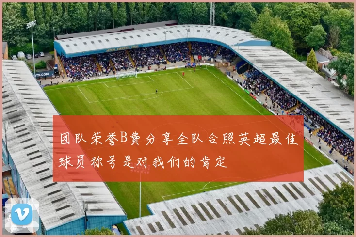 团队荣誉B费分享全队合照英超最佳球员称号是对我们的肯定